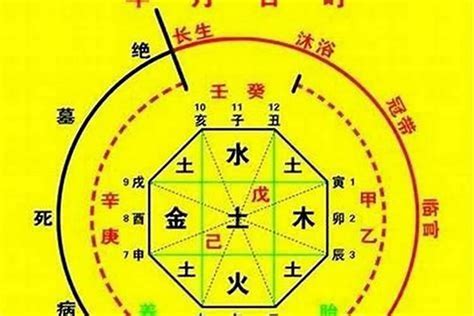 喜用神金意思|什么是八字喜用神 (喜用神和五行的补救方法)